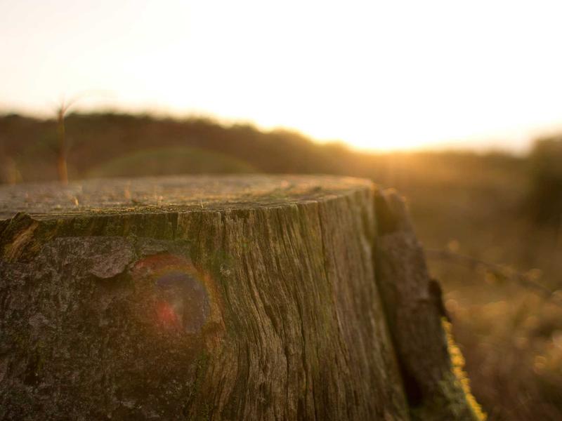 sudoku irregular boxes